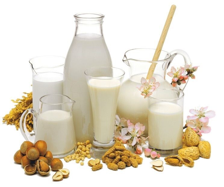 Чем Заменить Молоко На Диете